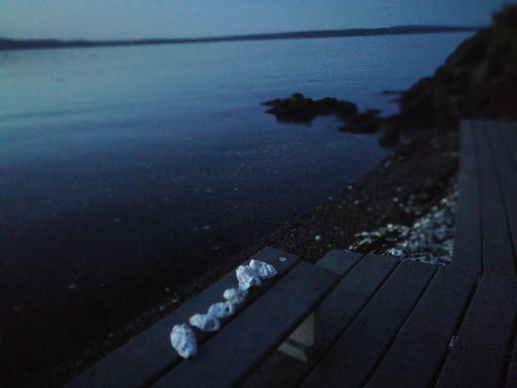 שמיינוס Vancouver Island Castle Cove Inn מראה חיצוני תמונה
